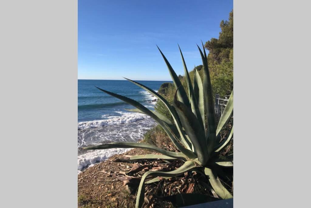 La Petite Pinede Studio Climatise Proche Plage Sanary-sur-Mer Luaran gambar